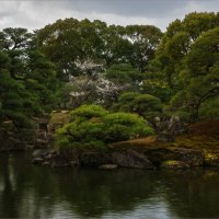 В саду Сёгуна в Киото :: Shapiro Svetlana 