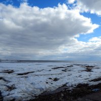 Зеленогорск. Устье Чёрной Речки. :: Лариса (Phinikia) Двойникова