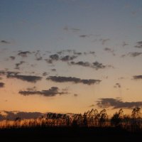 закат в поле :: Анастасия 