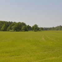 В полях :: Евгений Винокуров