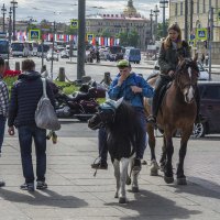 Конница :: Александр 