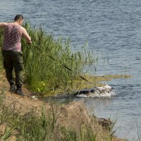 Водные процедуры... :: ТатьянА А...