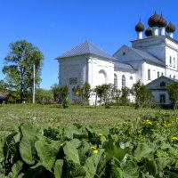 Входо-Иерусалимский храм :: Георгий А