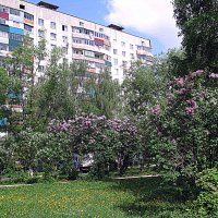 Весна в Мценске. :: Владимир Драгунский