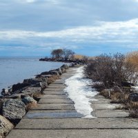 Зеленогорск. Устье Чёрной Речки. :: Лариса (Phinikia) Двойникова