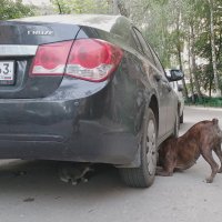 Разговор по душам :: Олег Манаенков