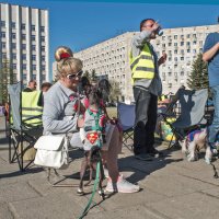 Бессрочка в Архангельске 14.05.2019 :: Алена Малыгина