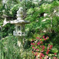 Японский сад :: Лидия Бусурина