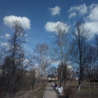 Облака и деревья :: Николай Филоненко 