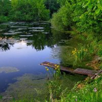 Вот и лето наступило. Долго ждали мы его. :: Татьяна Кудрина