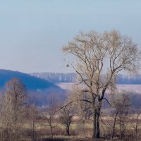 Путешествие под знаком орла.(Нижний - Булгары). :: юрий макаров