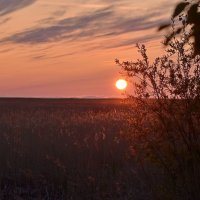 Белые ночи Севера :: Елена Третьякова