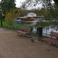 В Кузьминском парке осенью :: Игорь Белоногов
