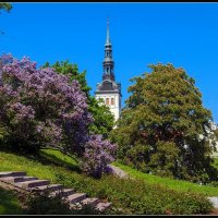 Tallinn :: Jossif Braschinsky