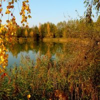 пейзаж у водоёма 3 :: Александр Прокудин