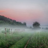 туманное утро :: юрий иванов