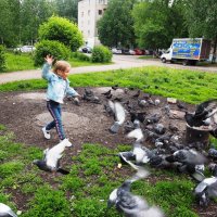 Не пугайте голубей. :: Ильсияр Шакирова