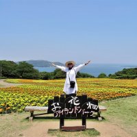 Остров Nokonoshima Island Park во время цветения тагетес Япония :: wea *