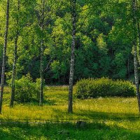 Summer in Sigulda :: Arturs Ancans