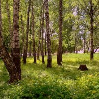 Чудесный летний день . :: Мила Бовкун