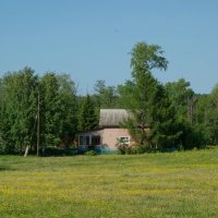 Домик на лютиковой поляне :: Алексей Сметкин