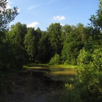 Любезное моему глазу и сердцу Абрамцево :: Андрей Лукьянов