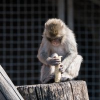 "И что мне с этим делать?" :: Владимир Безбородов