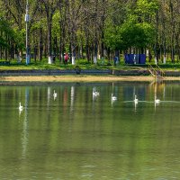 Городское водохранилище :: Игорь Сикорский