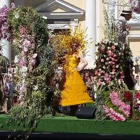Парад цветов на Невском проспекте. :: Светлана Калмыкова