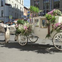 Фестиваль цветов :: Валентина 