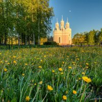 Чесменская церковь :: Владимир Колесников