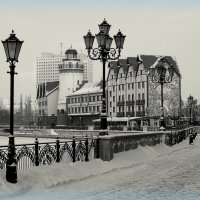 Черно-белая зима :: Сергей Карачин
