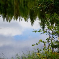 Отражение в зеркальной глади озера. :: Лариса Сафонова