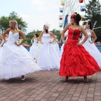Флешмоб-парад невест 2013 :: Елена Котина