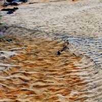 рябь на песке :: Marusiya БОНДАРЕНКО