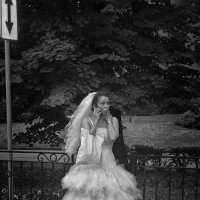 Невеста :: Елена Выбиранец