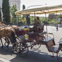 Вези меня, извозчик :: Вадим Лячиков