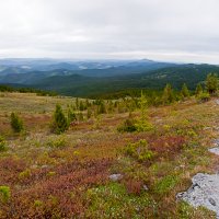 В далёкие дали :: Марина Бойко