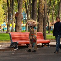 ...  а я много болела !!! :: васек задунайский