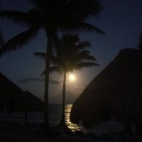Ночь на Юкатане :: svk *
