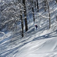 Бесплатная поездка (Freeride) II. :: Milan Bubeníček