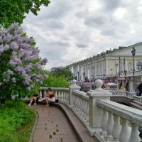 Московская весна-3 :: Елена Кирьянова