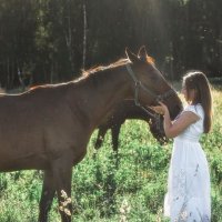 Любовь к лошадьям.. :: Зинаида Манушкина