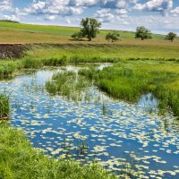 Старица :: Любовь Потеряхина