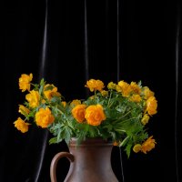 Полевые цветы в кувшине :: Алексей Мезенцев