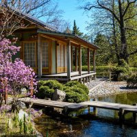 Японский сад :: Константин Шабалин