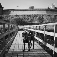 Мосты и мостики :: Тата Казакова