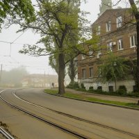 туман в городе :: олег добрый