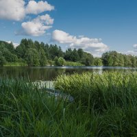 Июньским днём на реке Дубне. :: Виктор Евстратов