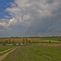 Один майский день :: Ольга Винницкая (Olenka)